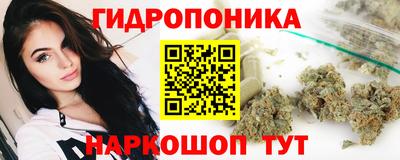 mix Кингисепп